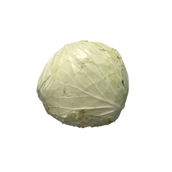 

LANGSUNG KIRIM () KOL PUTIH 250GR SIAP MASAK