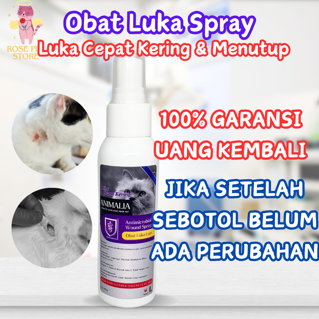 OBAT SPRAY LUKA KUCING 100ML MENGOBATI SEMUA JENIS LUKA LUAR PADA KUCING SEPERTI LUKA BASAH LUKA KER
