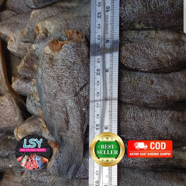 

ikan asin sepat siam / gurami import kualitas no 1 500 GRAM