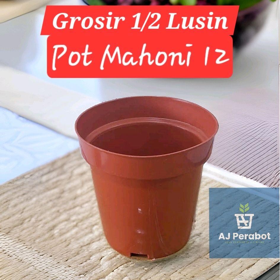 GROSIR 1/2 LUSIN Pot Polos 12 / Pot Mahoni 12 / Pot Srondol / Pot Tanaman / Pot Bunga / Pot Bunga Pl