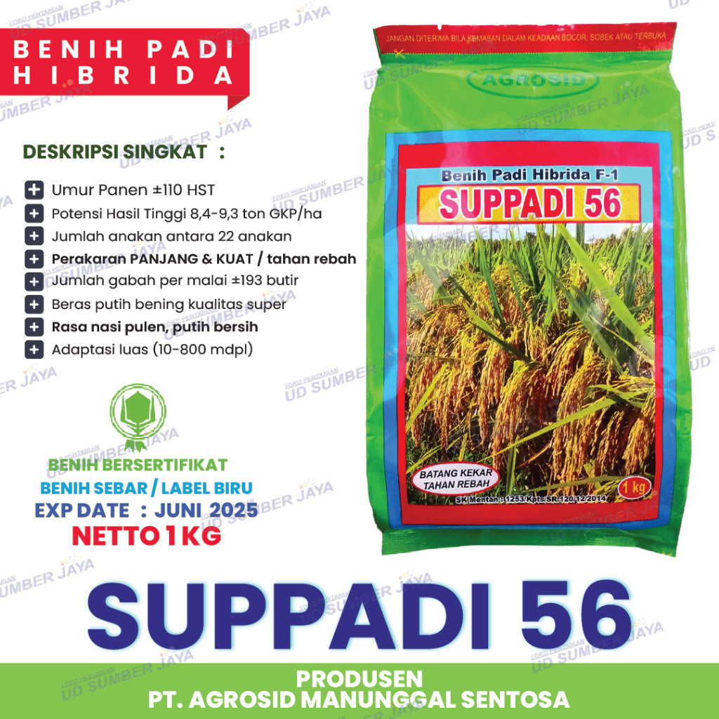 Benih Padi Hibrida Suppadi 56 Original Exp Date Juni 2025