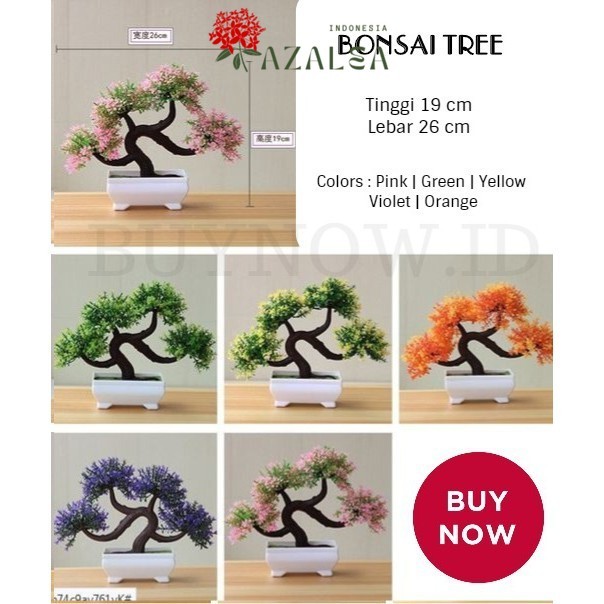 AZALEA - Pajangan Bonsai