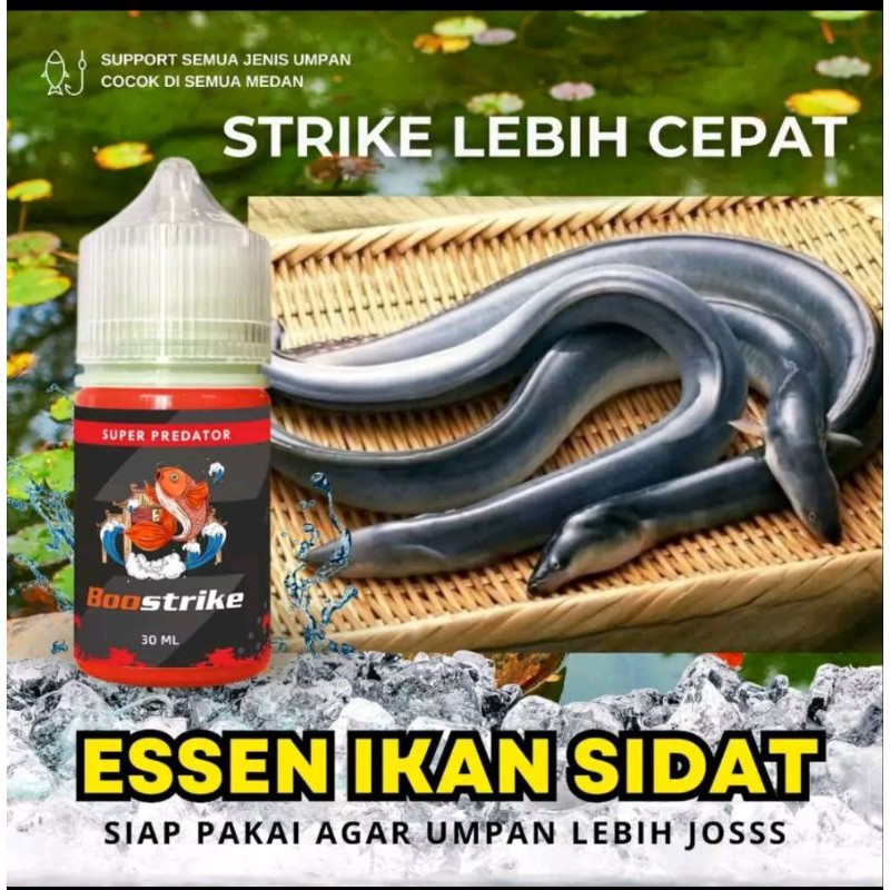 ESSEN UNTUK IKAN SIDAT | ESSEN PERANGSANG IKAN SIDAT ISI 30ML | Essen Pancing Aroma Gurih & Amis Unt