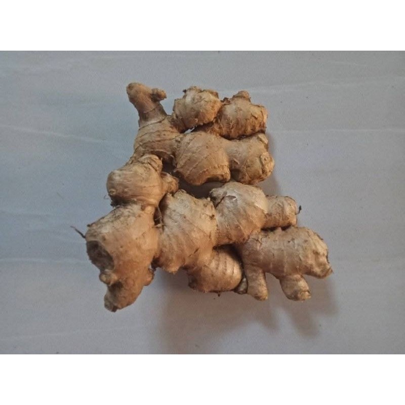 

PROMO JAHE EMPRIT SEGAR/CUCI BERSIH 95% /RIMPANGAN/1 KG