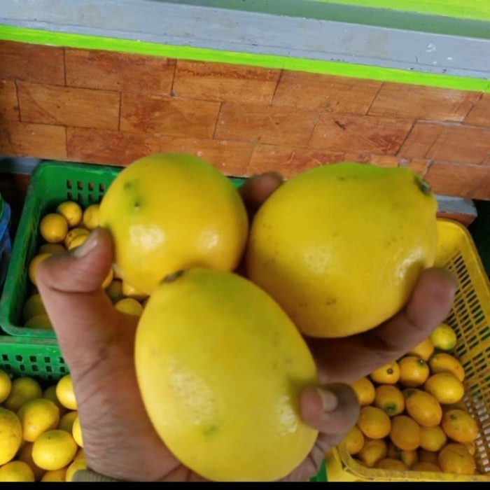 

lemon california lokal 500 gram