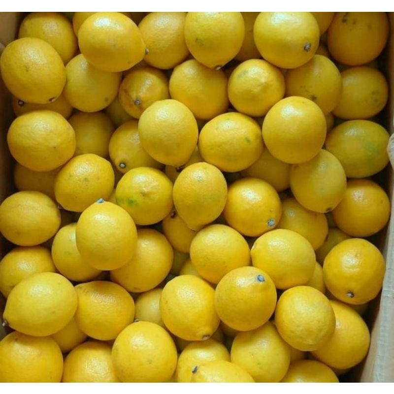 

BUAH LEMON CALIFORNIA LOKAL FRESH UDBUAH 3 SAUDARA