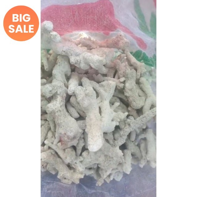 Karang jahe 1kg / karang jahe / batu karang jahe 1kg / batu karang jahe