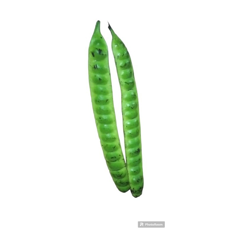 

TEBUS MURAH Petai / Pete / peteuy