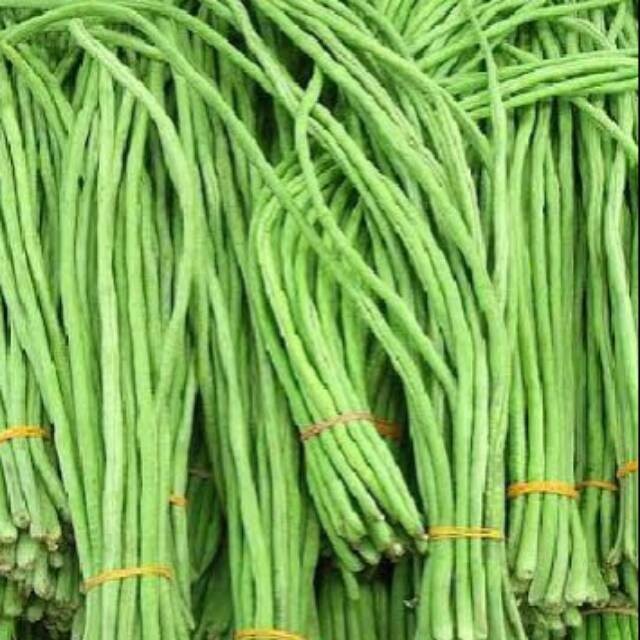 

Kacang Panjang Per ikat / Sayuran Segar Makassar