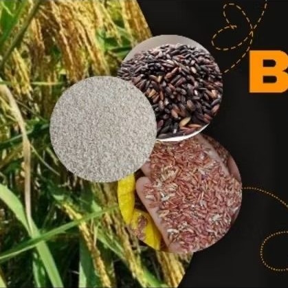 

Beras Hitam/Black Rice 1 kg Beras untuk diet sehat rendah gula kaya serat tinggi non kolesterol cocok penderita diabetes (Maulidia)