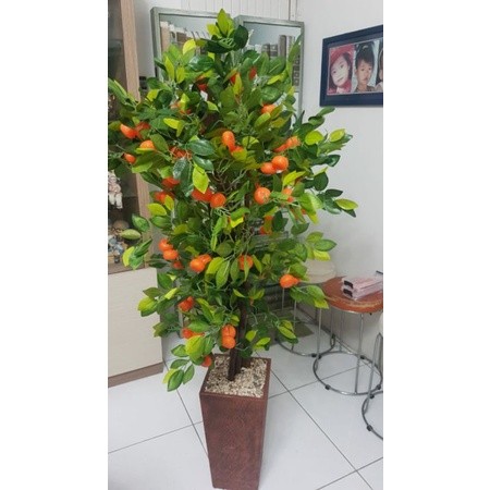pohon jeruk/pohon apel/pohon cery/pohon plastik/pohon artificial/bunga hias