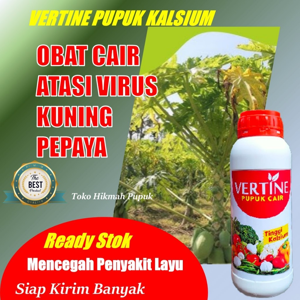 PUPUK VIRUS KUNING PEPAYA TANAMAN ANTI STRES, LAYU BUAH PEPAYA OBAT KERITING DAUN PEPAYA PUPUK NUTRI