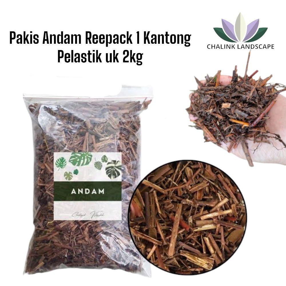 Andam Media Tanam Poros Pakis Andam Media tanam pengganti  Tanah - Media tanam andam untuk  Tanaman-