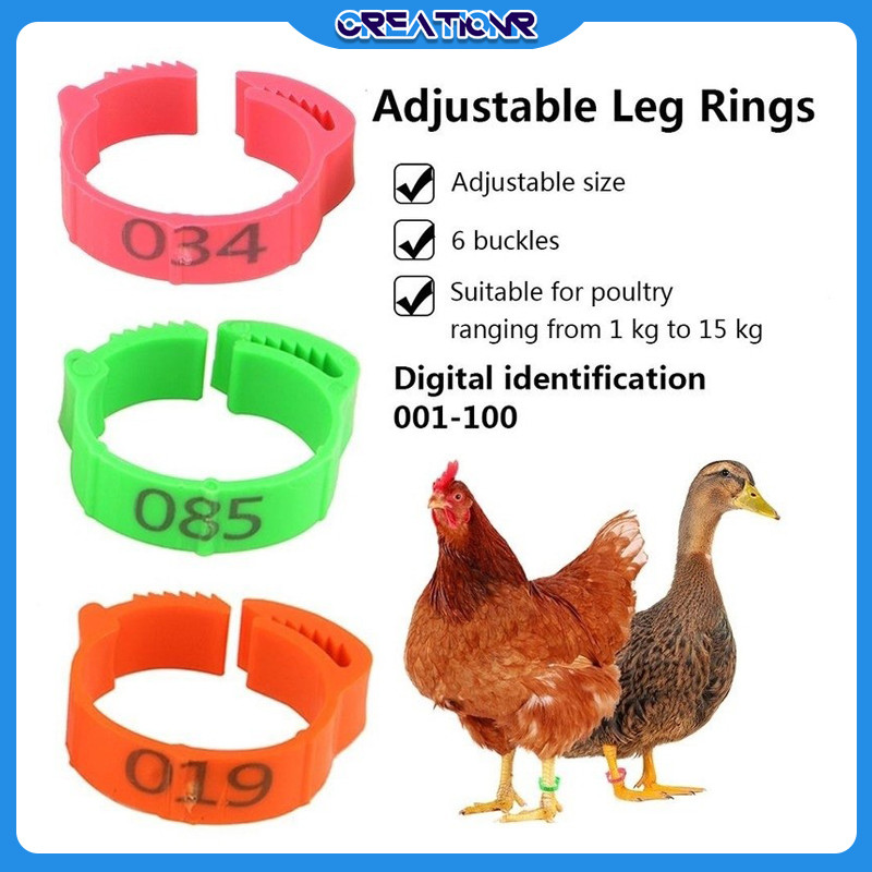 100pcs Cincin Ring Gelang Kaki（Ayam & Bebek）/Ring Gelang Kaki Ayam Nomor 001-100/ring Ayam/ring Kaki