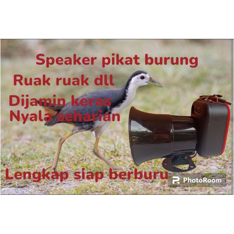 Speaker Pikat Burung Ruak Ruak, Ayam Hutan dll