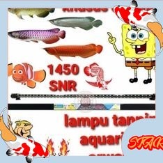 lampu tanning ikan arwana SNR 1450