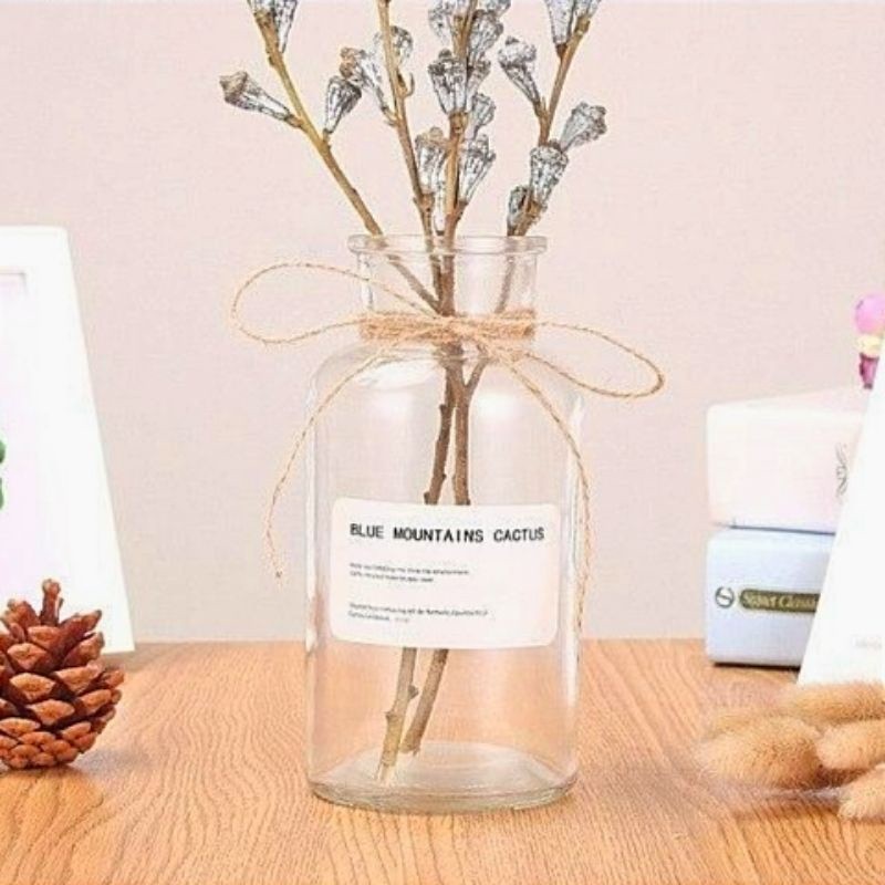 Vas bunga kaca bening minimalis aesthetic | Vas kaca bening tali rami estetik | Vas bunga ruangan ta