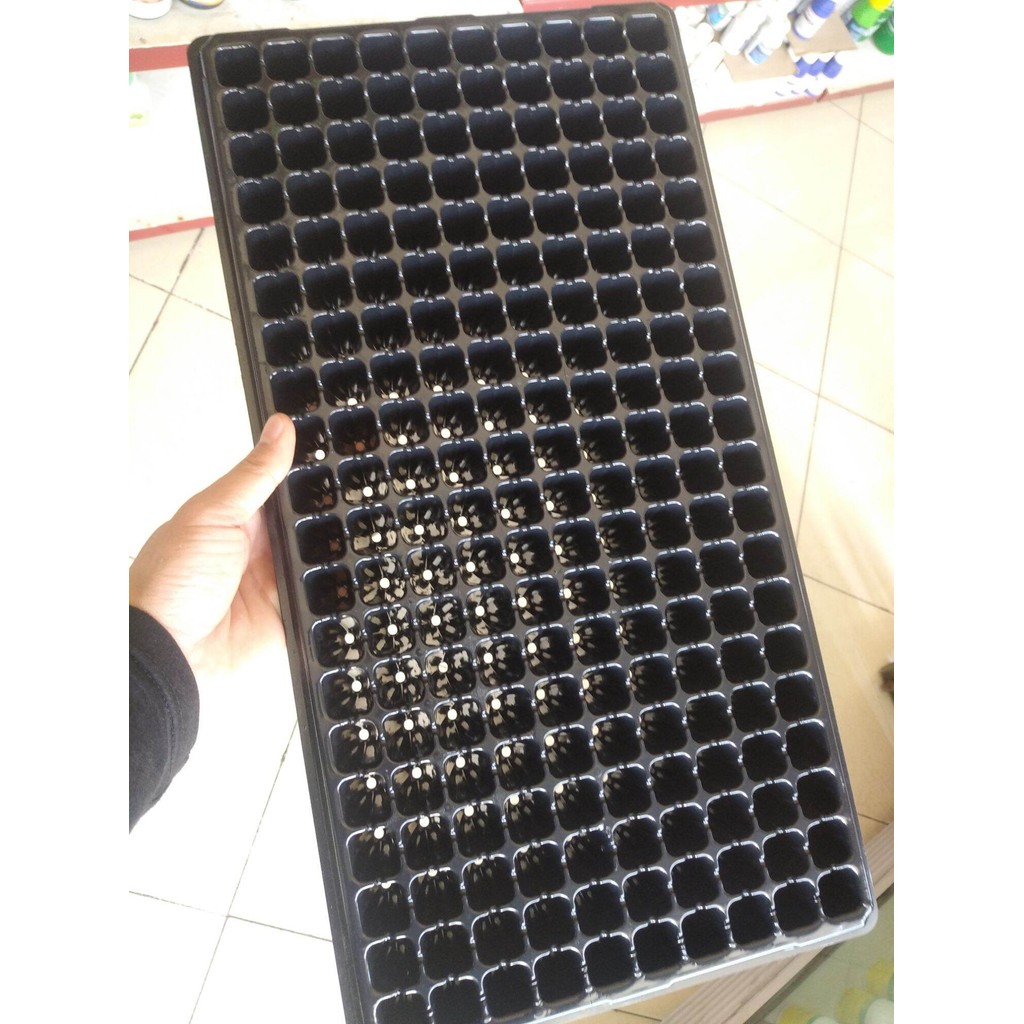 alat penyemai bibit TREY masuk untuk 200 biji
