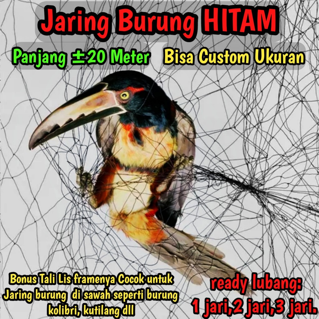 jaring burung Sawah Lubang Kecil Panjang 25 meter warna hitam