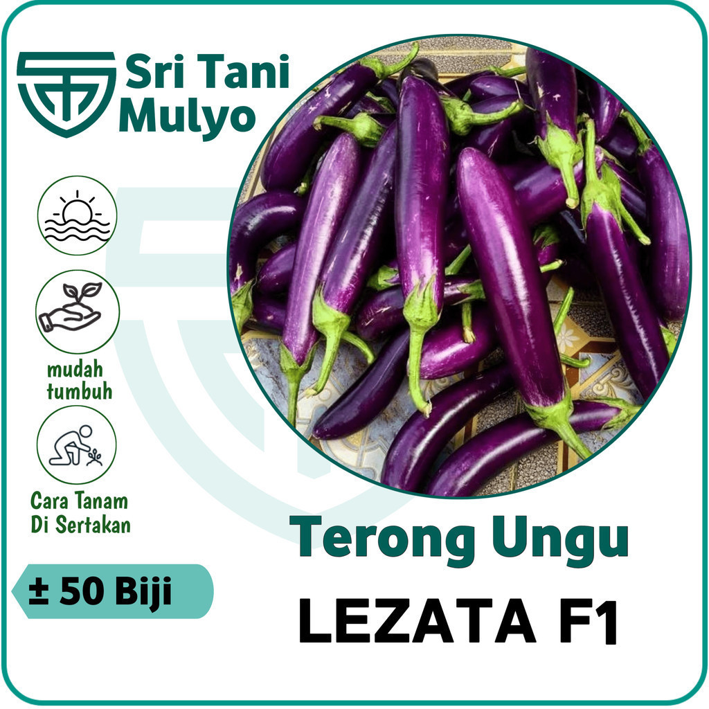 50 Biji - Benih Terong Ungu LEZATA F1 - unggul Cap Panah Merah Bibit Sayur Sayuran Antaboga Hitavi