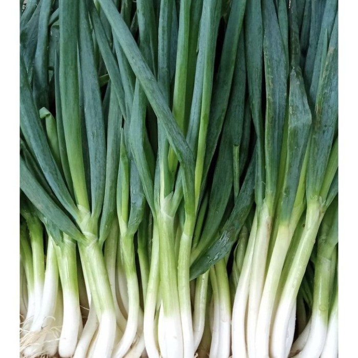 

Daun Bawang prei segar 100 gram - Fresh Leek 100 gram