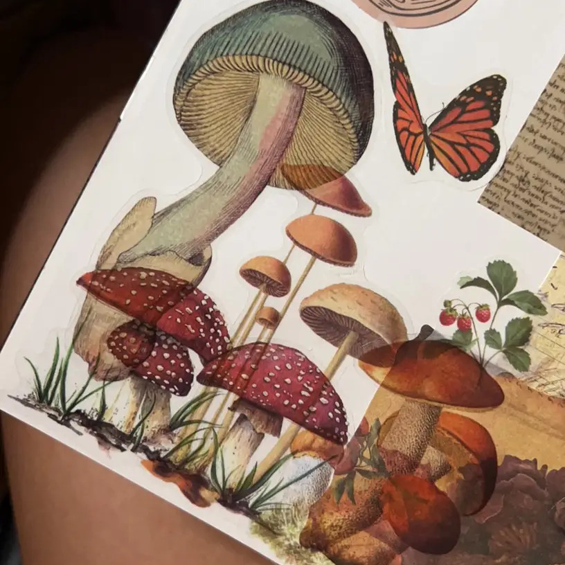 

40pcs Colorful Natural Wild Mushroom Style Transparent Sticker Scrapbooking DIY Gift Packing Label Gift Decoration Tag
