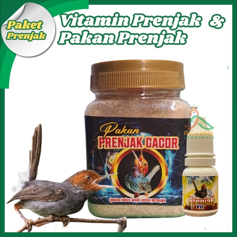 [PAKET HEMAT PRENJAK] Prenjak Vit Penggacor Seketika + Pakan Prenjak Gacor