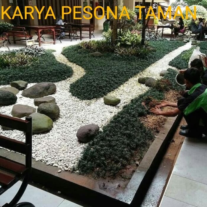 jasa taman kering minimalis