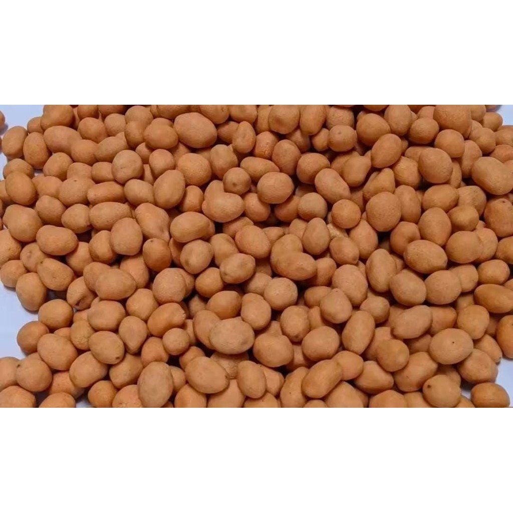 

KACANG TELOR MANIS DAN GURIH SPESIAL 1000 GRAM