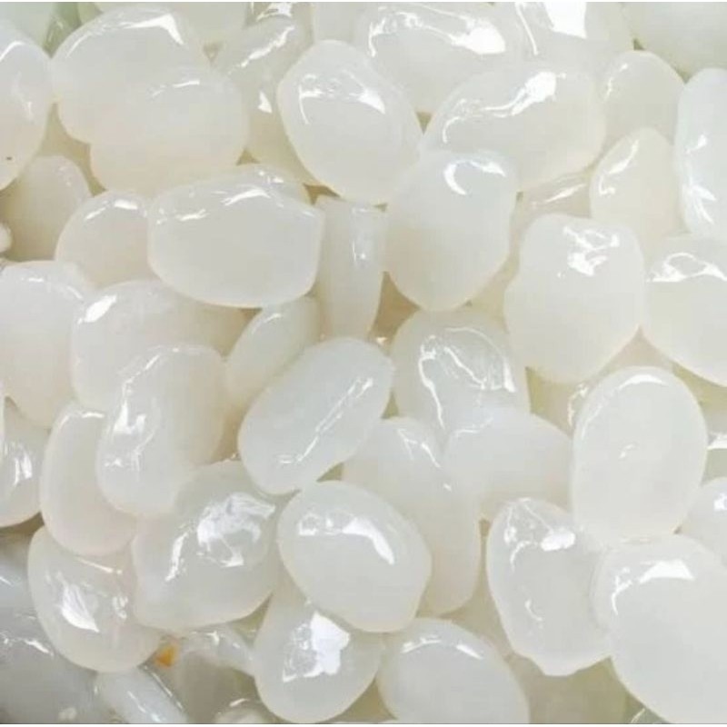 

kolang Kaling mentah super 1kg fresh cocok Untuk berbagai manisan