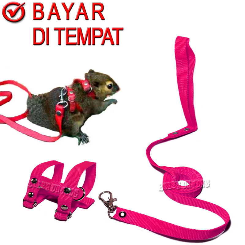 HARNES H TALI TUNTUN SUGAR GLIDER BAJING TUPAI HERNES KADAL HAMSTER HARNESS MODEL H