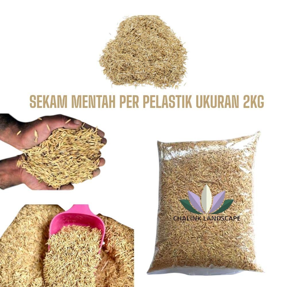 Media Tanam Sekam Mentah / Sekam Mentah / Skam Mentah / Sekam / Kulit Padi / Pupuk Sekam