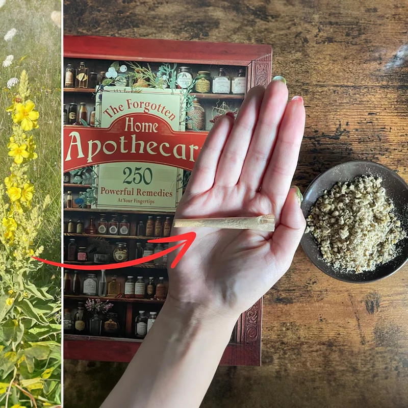 

Home Doctor Herbal Remedies Book Forgotten Home Apothecary 250 Powerful Remedies at Your Fingertips Natural Educational Paper