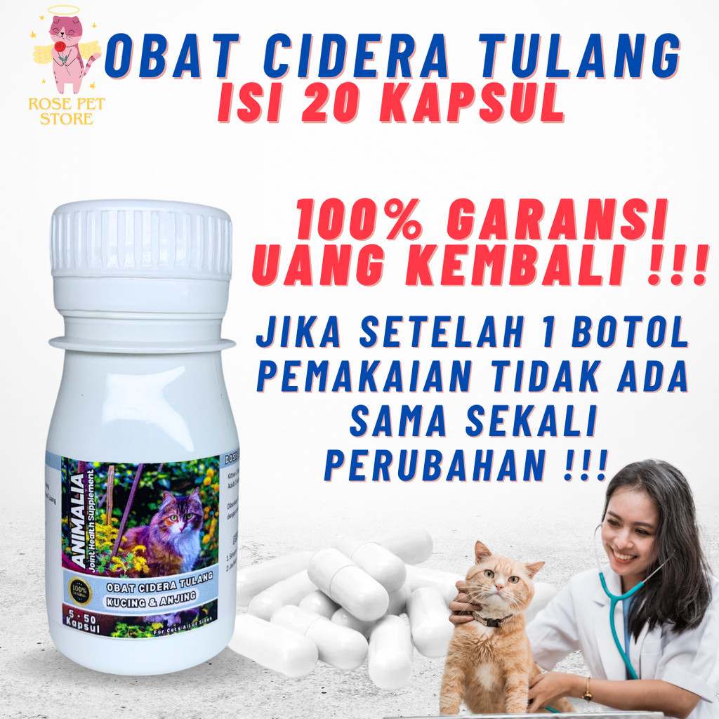VITAMIN OBAT KUCING LUMPUH PENGUAT TULANG CEDERA TULANG