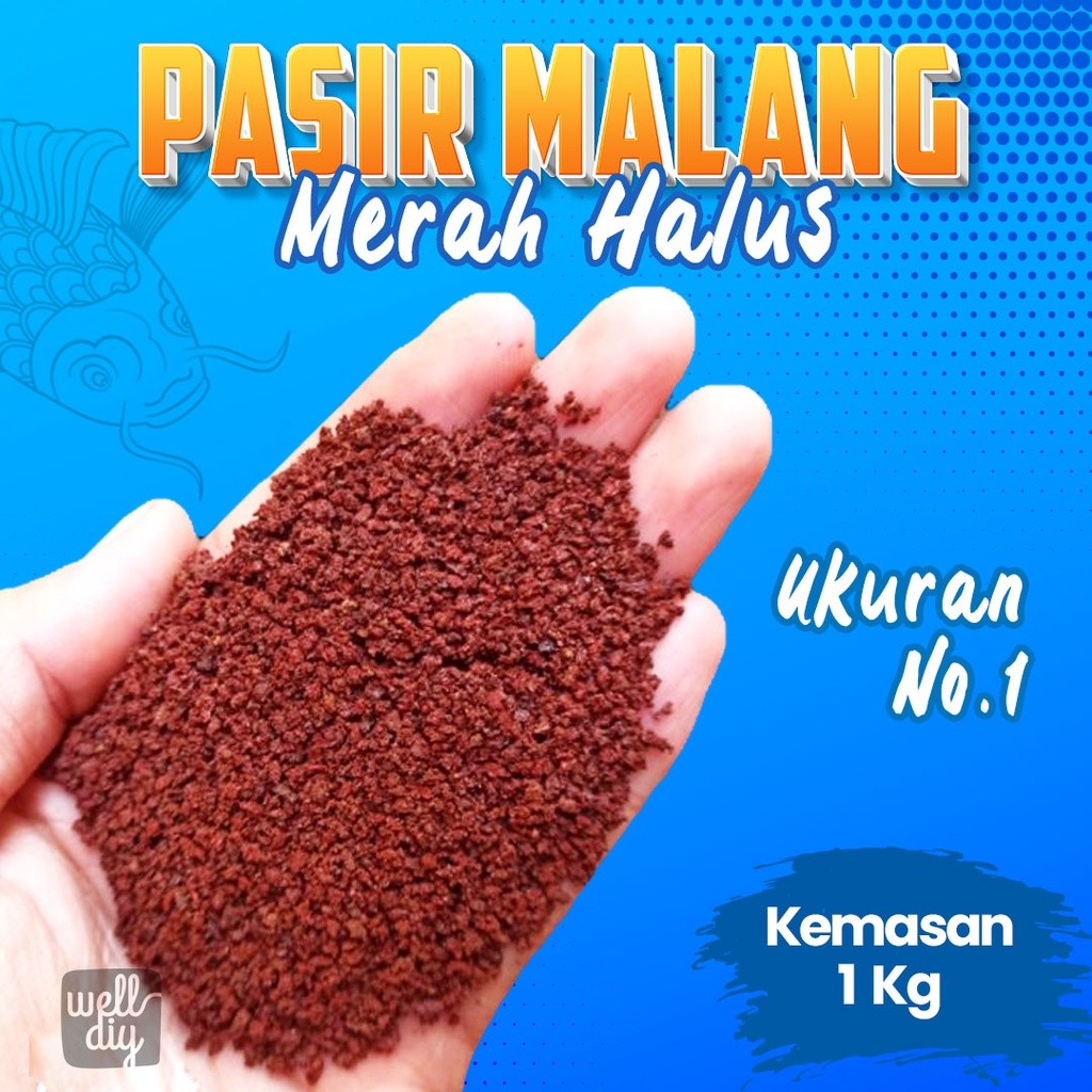 Pasir Malang Merah Ikan Channa Predator Aquarium Aquascape - 1 Kg Fish Heaven
