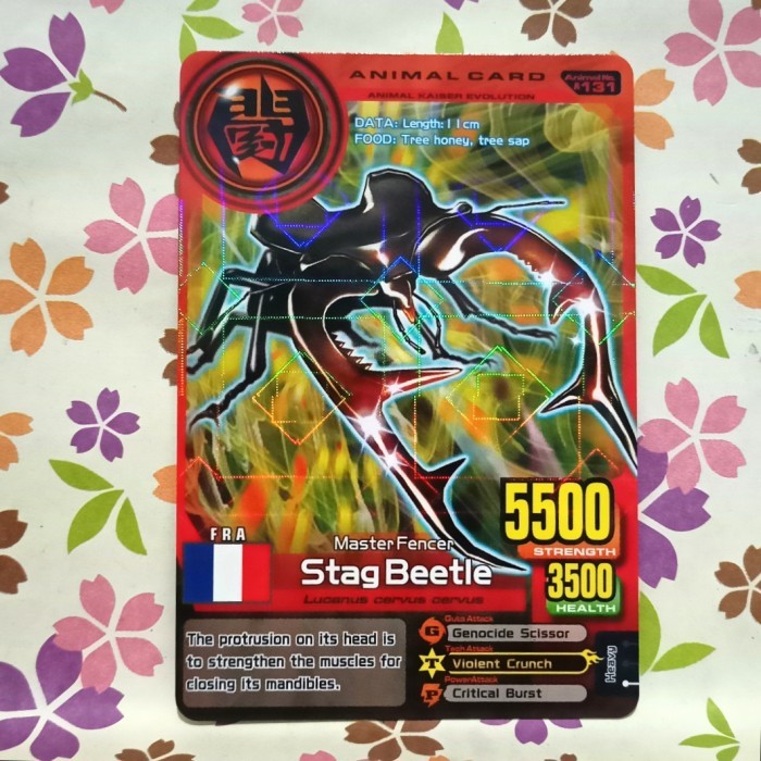 animal kaiser normal stag beetle evo 8