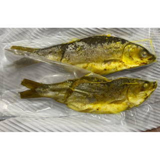 

Ikan Bandeng Presto SALTO isi 2 Duri Lunak Bandeng khas PEMALANG 2 Dus Bandeng Presto kemasan vakum - Bandeng salto khas pemalang -bonus bandeng presto