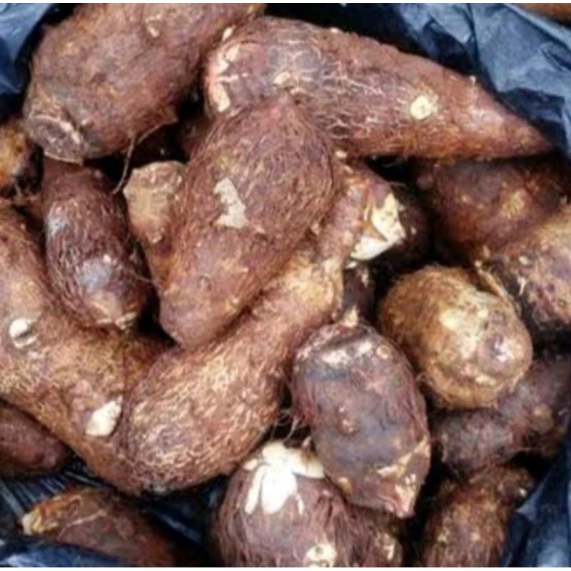 

Umbi enthik mentah ,pulen banget 1 kg