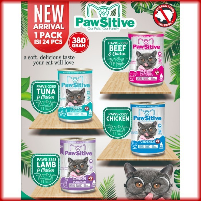 Pawsitive Cat Food Kaleng 380gr - Makanan Basah Kucing