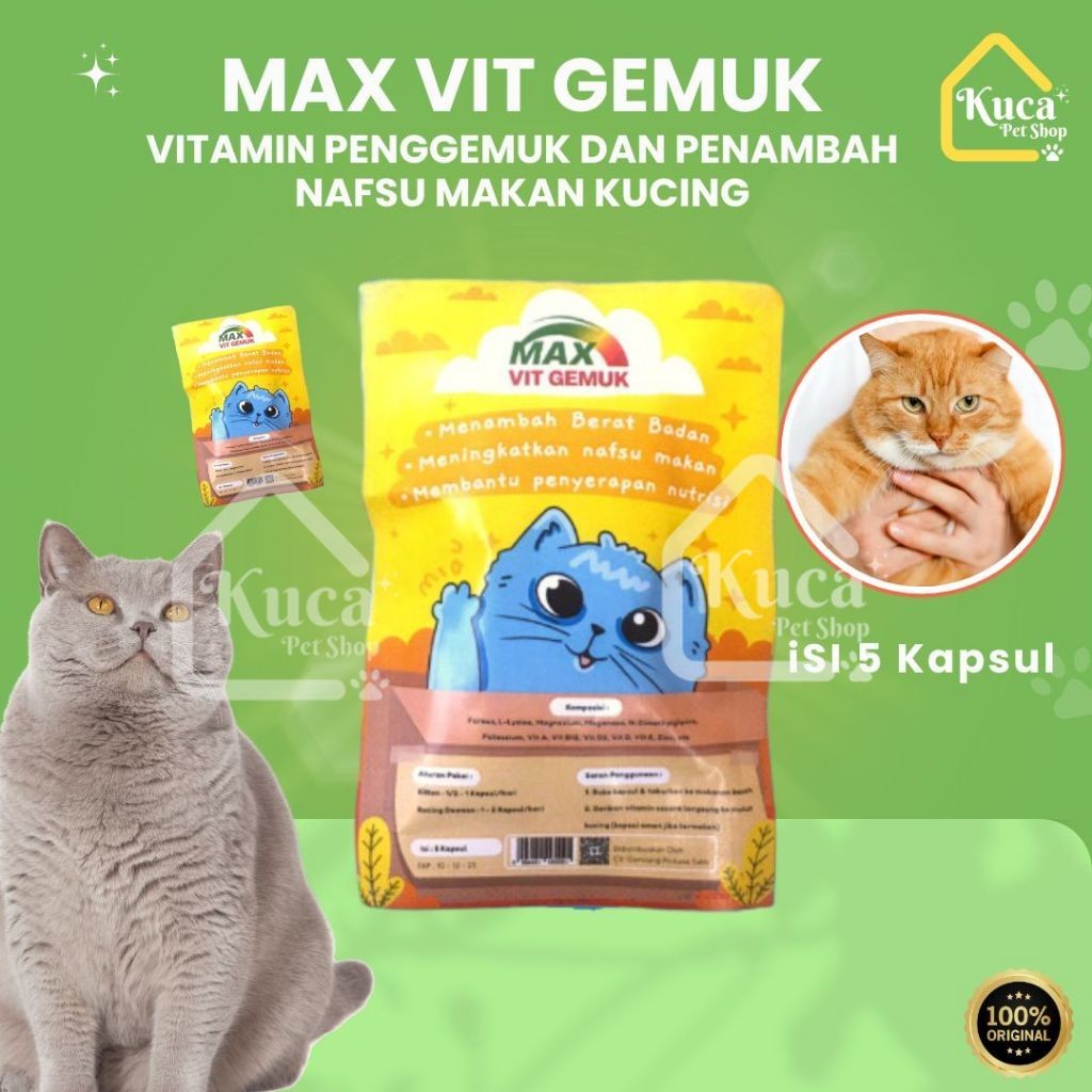 Vitamin Penggemuk Kucing MAX VIT GEMUK Vitamin Suplemen Penambah Nafsu Makan Kucing Max Body Cat