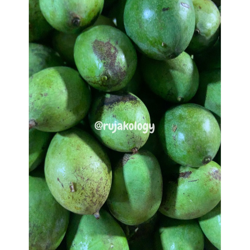 

TEBUS AMBYAR MANGGA MUDA/RUJAK FRESH TERLARIS