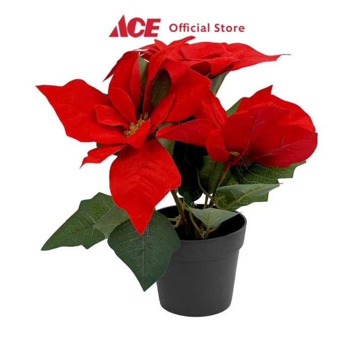 

Noelle 24 cm Bunga Dekorasi Natal Christmas Poinset 3 Head Dengan Pot Xmas Decoration Ornamen Hiasan Natal Pajangan Decor