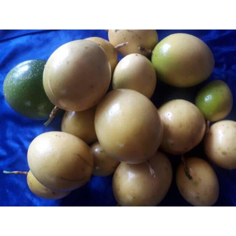 

buah markisa kuning segar