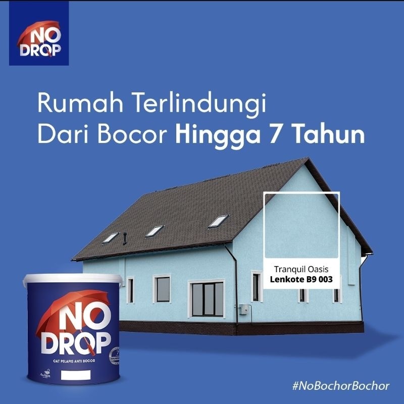 CAT NO DROP NODROP 1KG PELAPIS ANTI BOCOR WATERPROOF EXTERIOR DAN INTERIOR