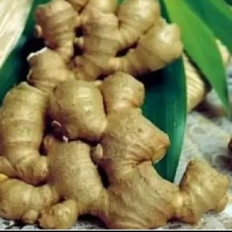 

bangle/panglay Fress 1 kg