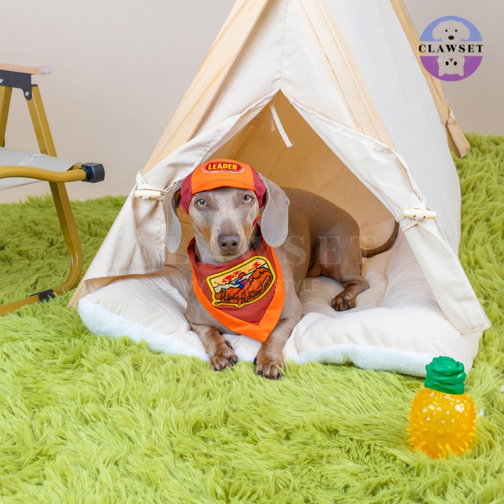 Clawset - Pet Hat - Scout Collection (Topi Hewan Peliharaan) - Leader Red