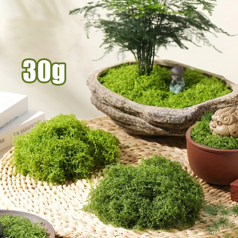 Lumut Abadi Moss Dried Artificial Lumut Palsu