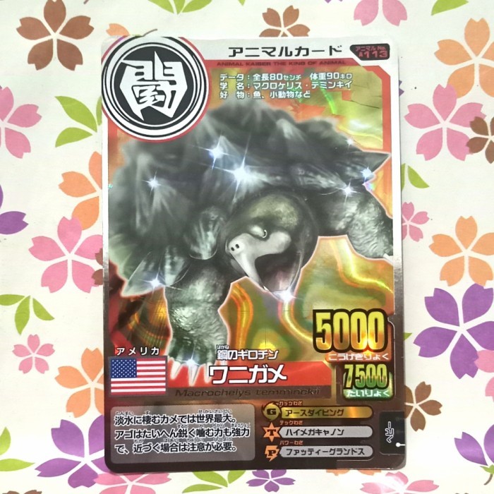 animal kaiser silver alligator snapping turtle versi 8 jepang