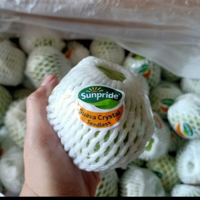 

jambu buah kristal super