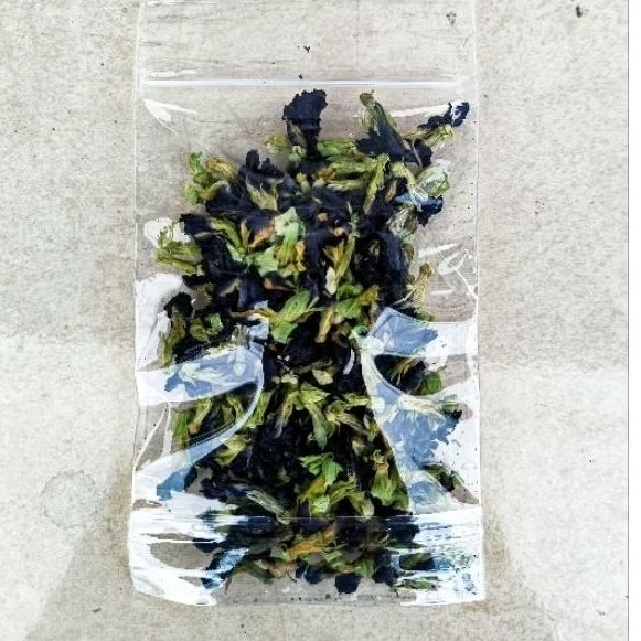

Bunga Telang Kering 10gr Asli Siap Seduh